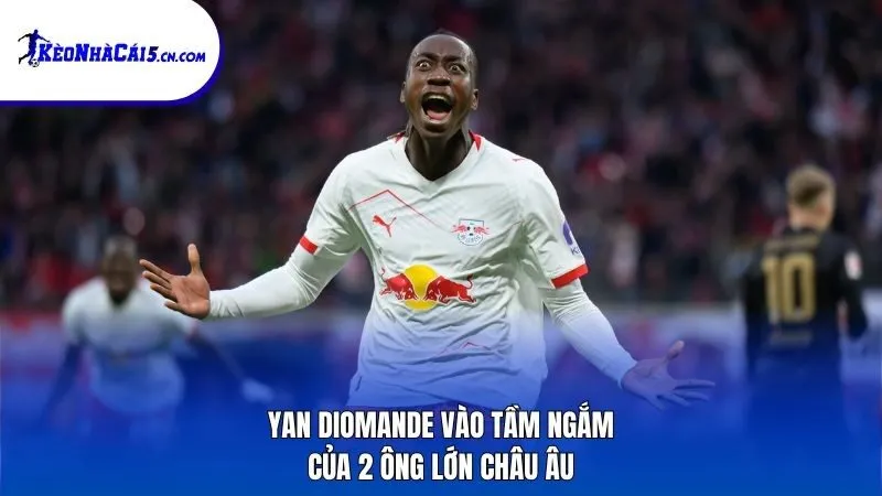 Yan Diomande vào tầm ngắm của 2 ông lớn châu Âu